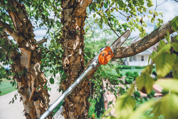 Motopoda a combustão HT 135 STIHL