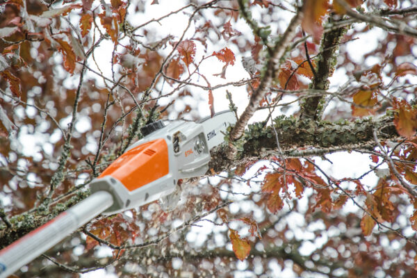 Motopoda a bateria HTA 50 STIHL