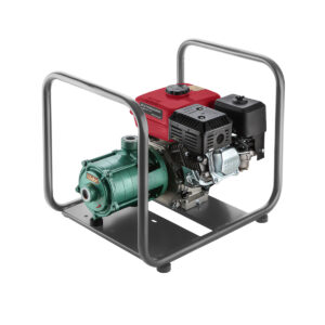 REAL Concessionária | RONDÔNIA