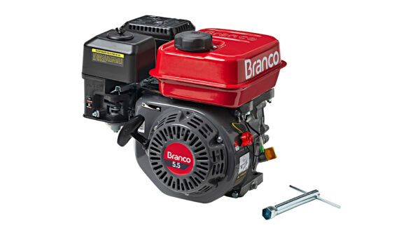 Motor a diesel 4 tempos Branco B4T-5.5