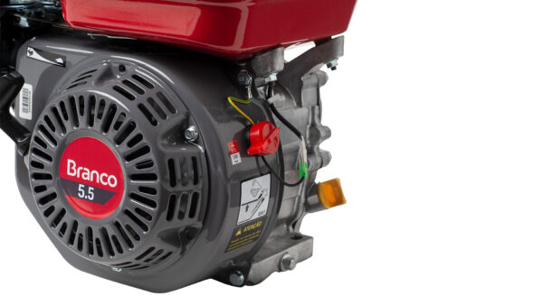 Motor a diesel 4 tempos Branco B4T-5.5