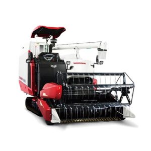 REAL Concessionária | RONDÔNIA