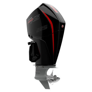 REAL Concessionária | RONDÔNIA