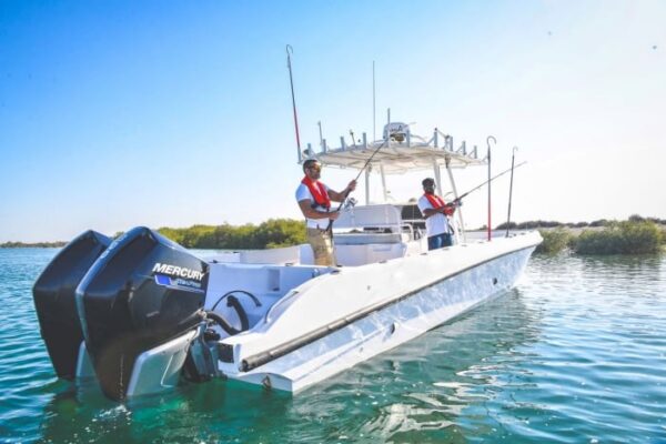 Motor de popa SeaPro 300HP CMS Mercury